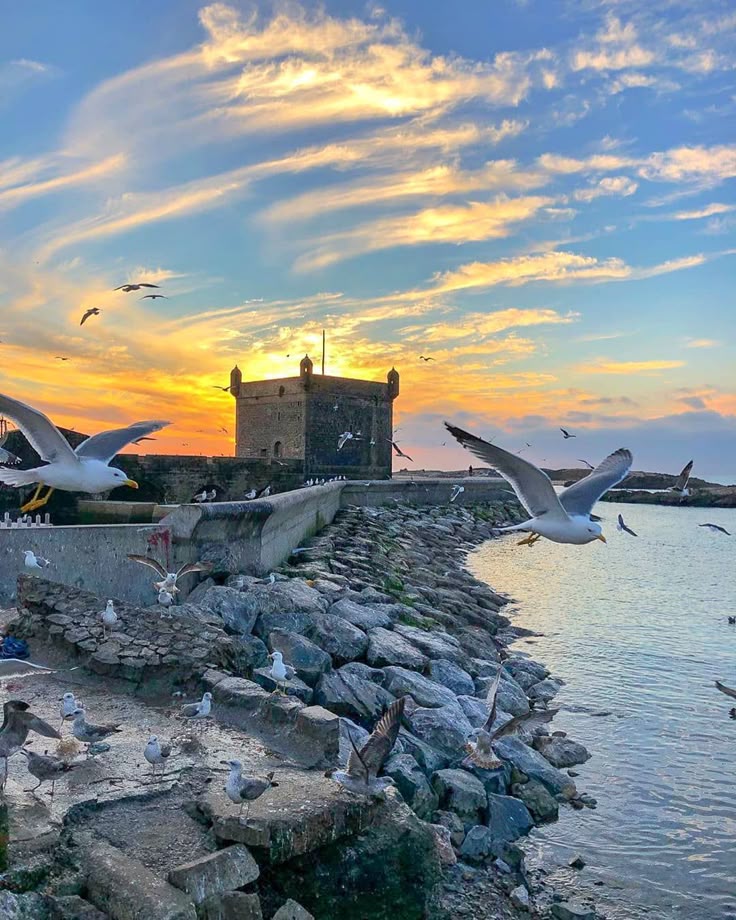 MOROCCO on Instagram_ “Sunset over the Fishing… (1)