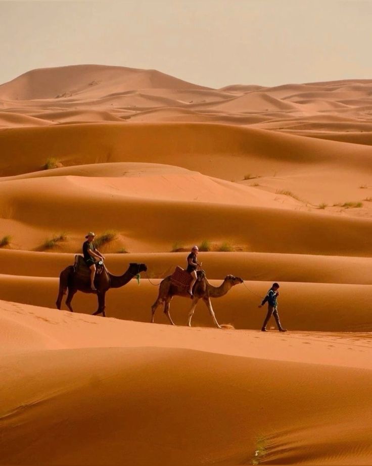 Merzouga, Morocco 🇲🇦 (3)
