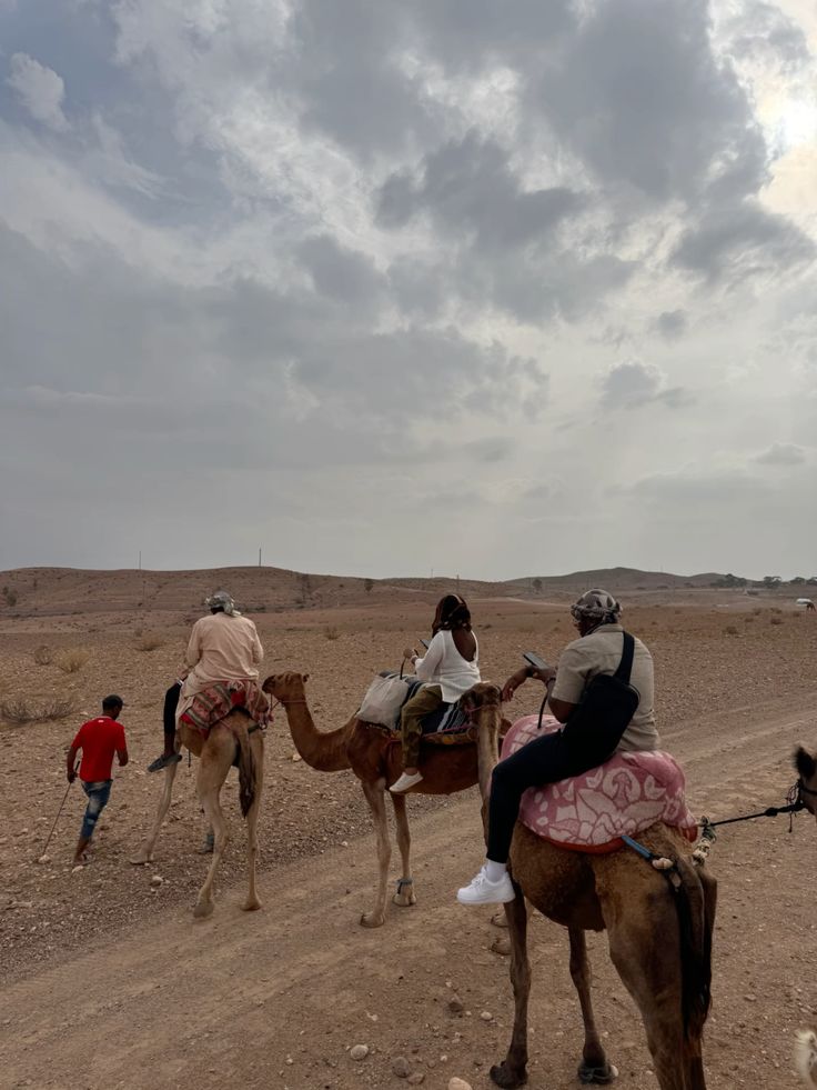Camels